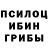 Псилоцибиновые грибы мицелий Marina Pochechueva