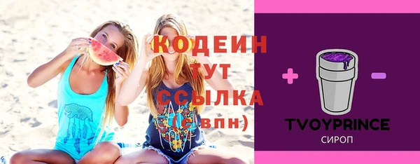 шишки Вязники