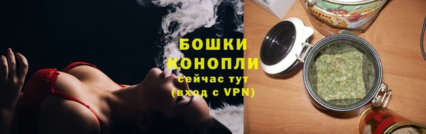 шишки Вязники