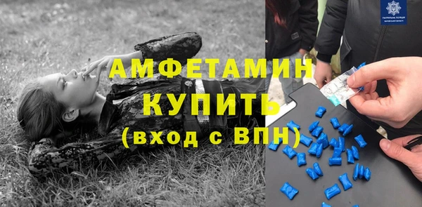 шишки Вязники